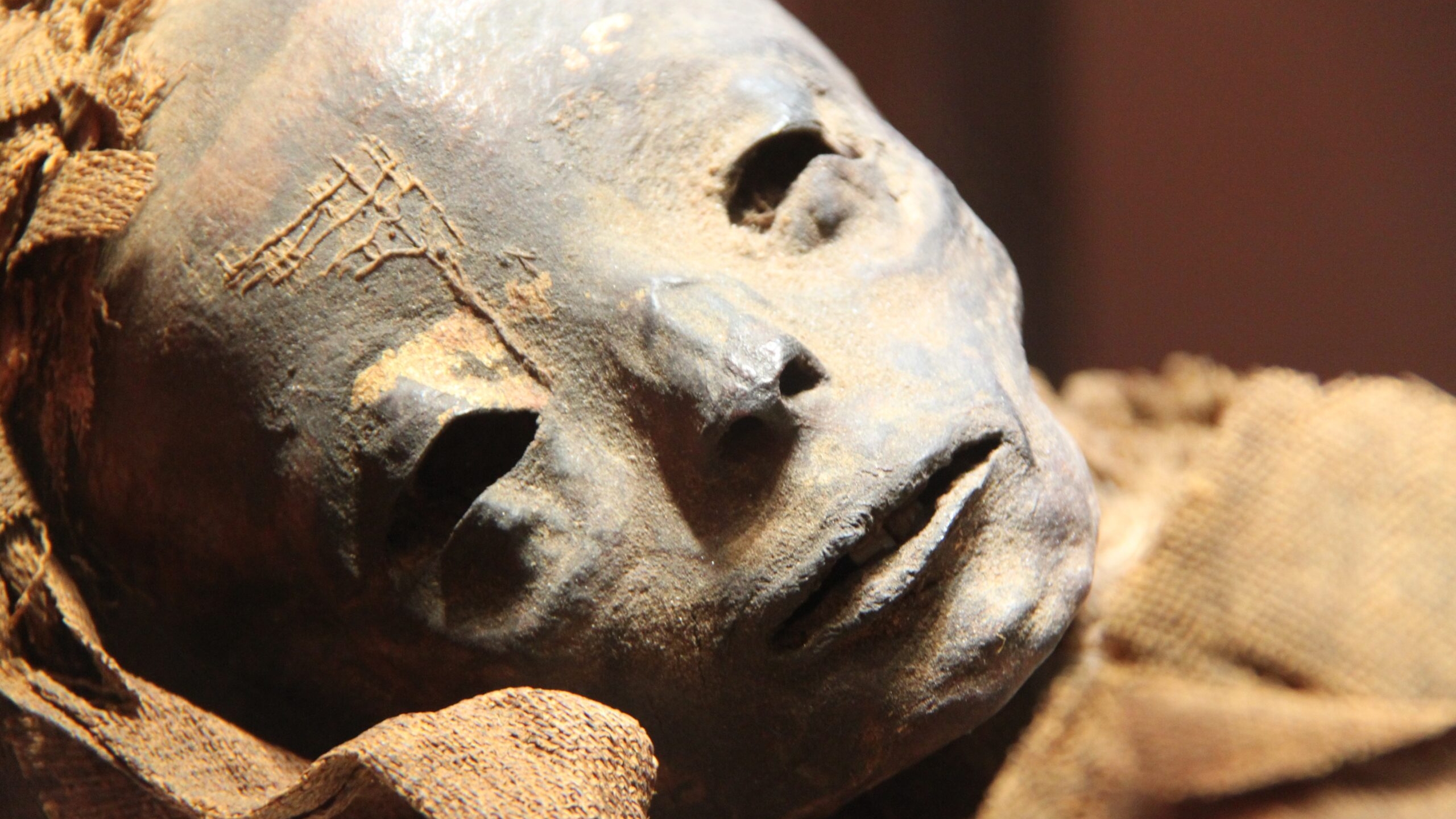 Специалисты по останкам мумии смогли воссоздать лицо человека, который жил в 13 веке до нашей эры