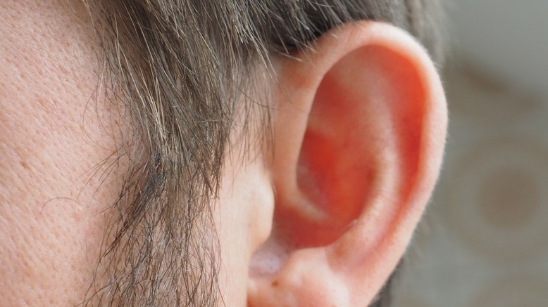 Ученые выяснили, что приводит к шуму и звону в ушах